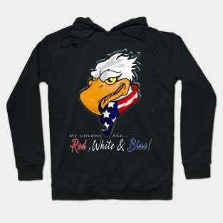 My colors...Red, White & Blue Hoodie